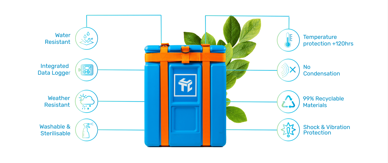 Infographic - TowerCC KTEvolution