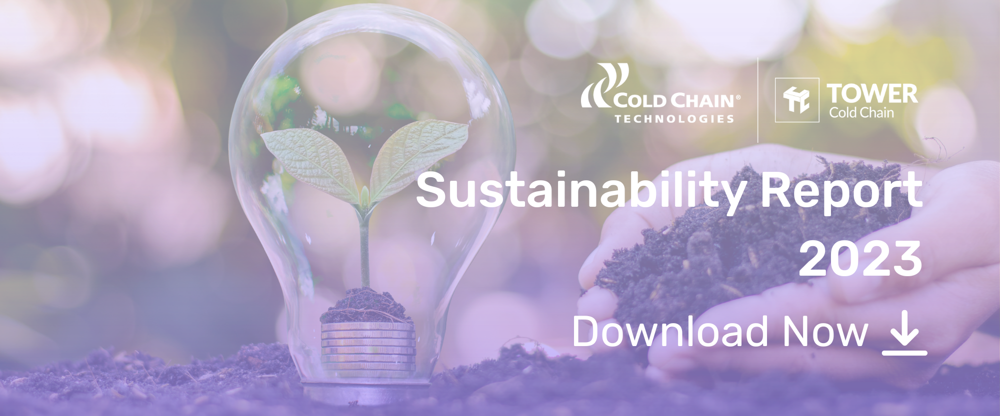 sustainability report (2)